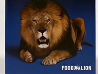 Food Lion Sound Chip Pop-Up Mailer Image